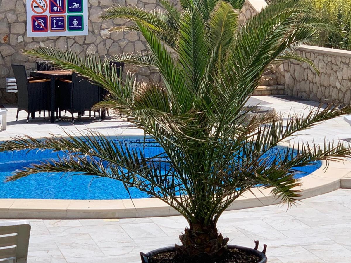 Apartments Albatross نوفاليا المظهر الخارجي الصورة