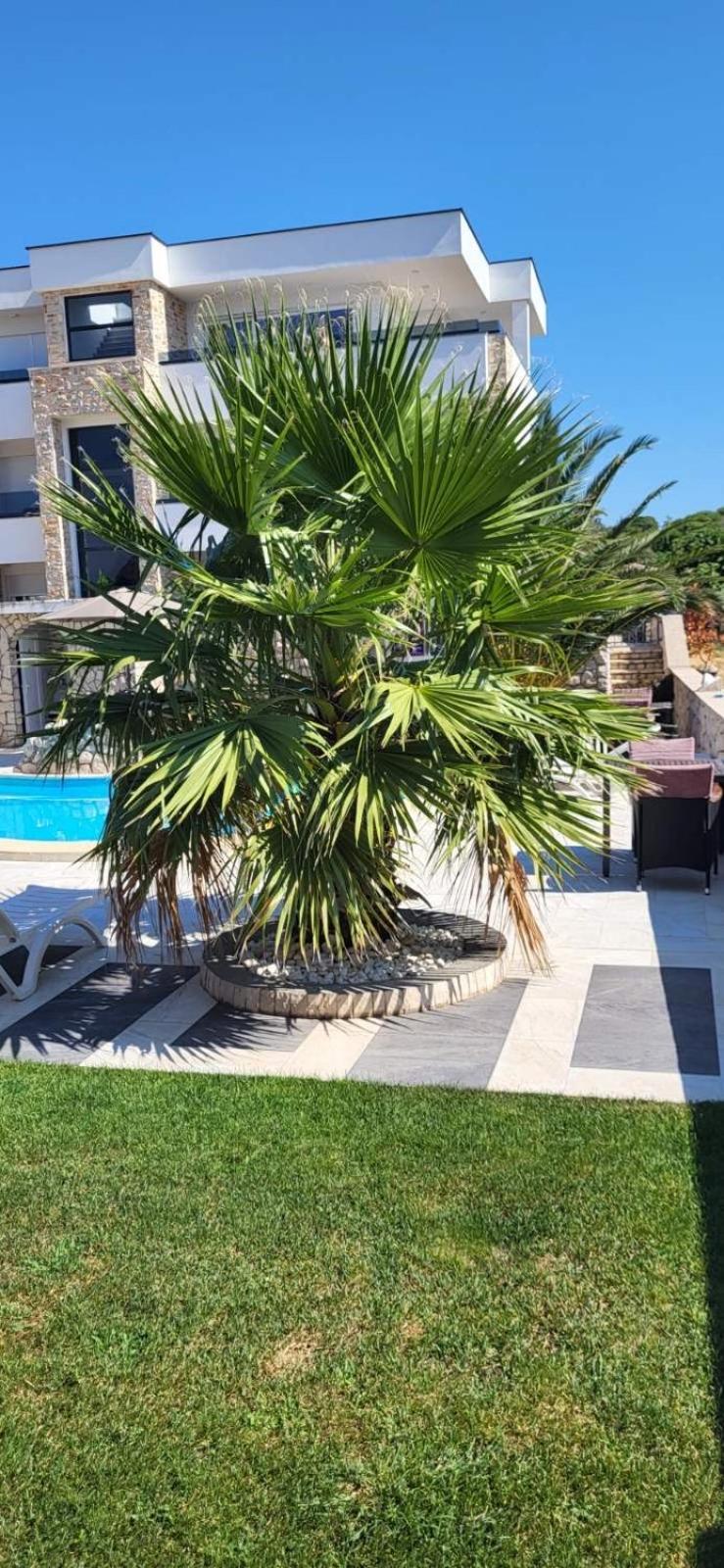 Apartments Albatross نوفاليا المظهر الخارجي الصورة