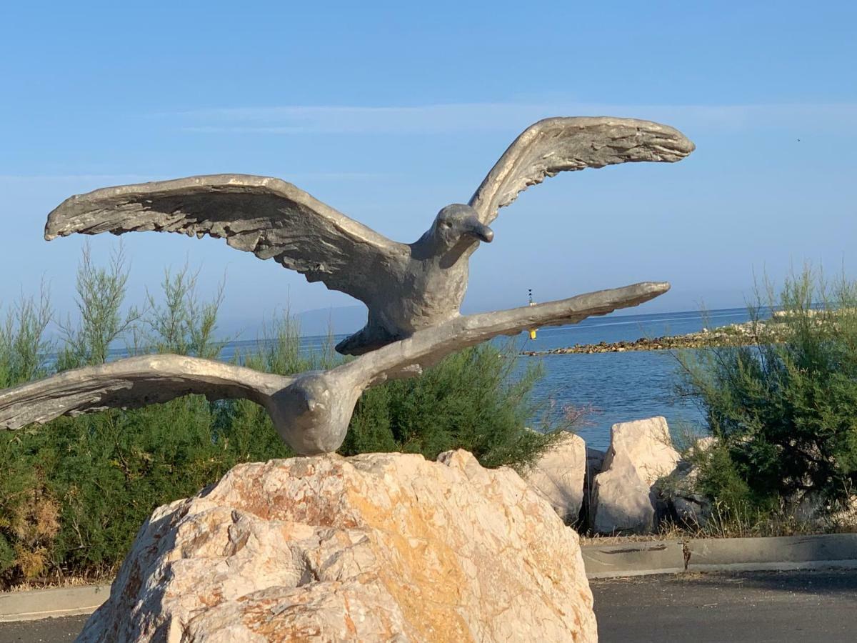 Apartments Albatross نوفاليا المظهر الخارجي الصورة
